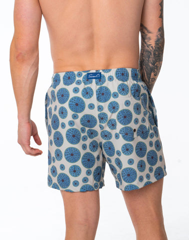 Sustainable Kids' Sea Urchin Print Shorts from SevenC's - Back View